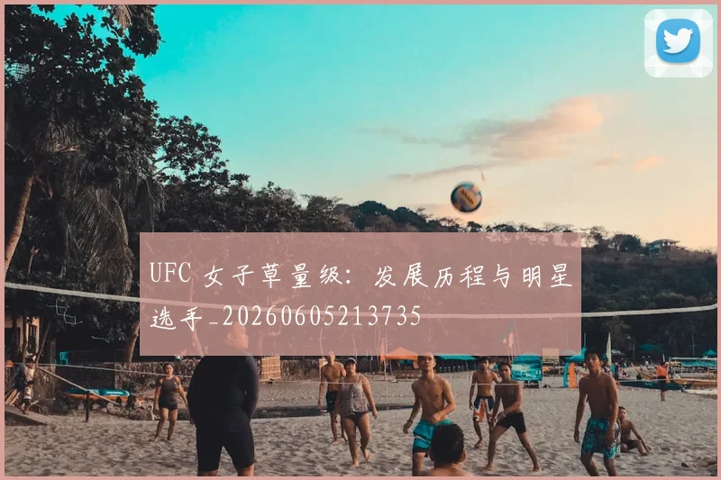 UFC 女子草量级：发展历程与明星选手_20260605213735